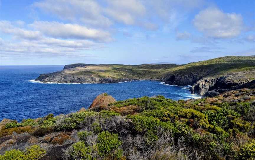 Torbay Head, Attractions in West Cape Howe