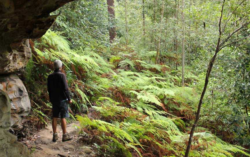 11 Kilometre Walking Track, Gunderman, NSW