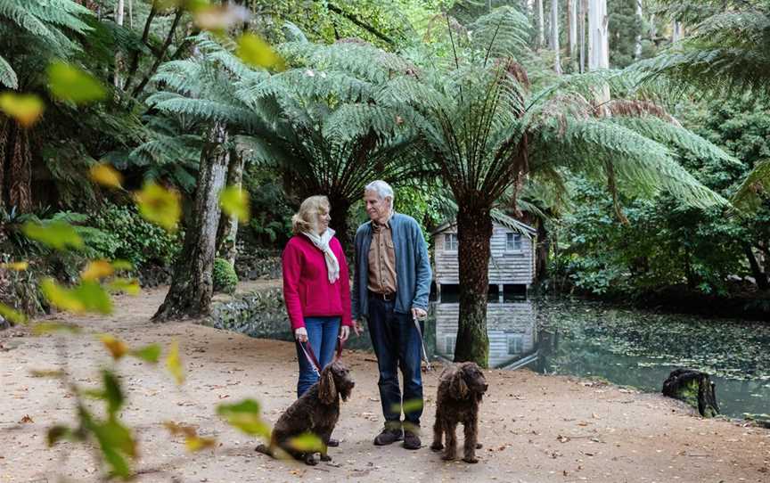 Alfred Nicholas Gardens, Sherbrooke, VIC