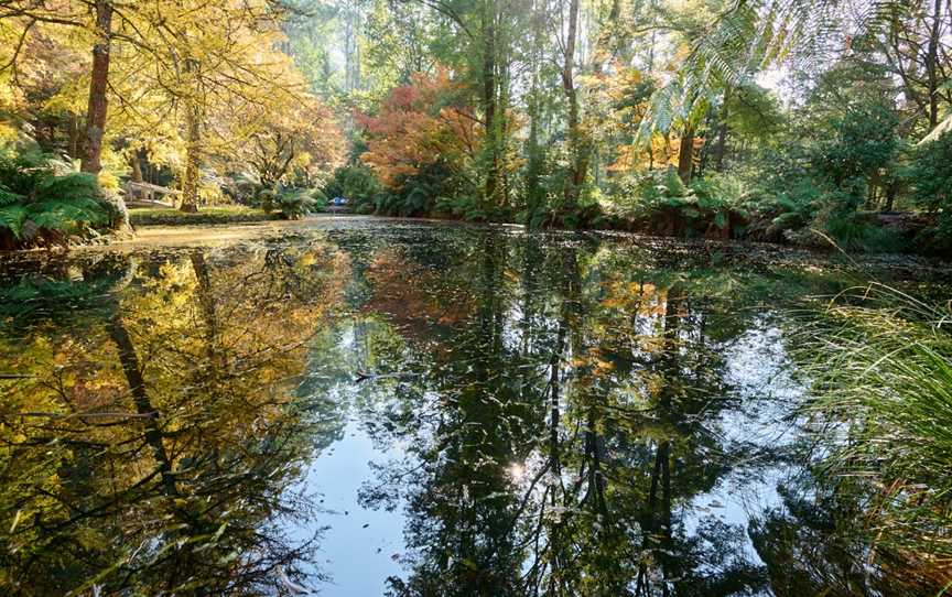 Alfred Nicholas Gardens, Sherbrooke, VIC