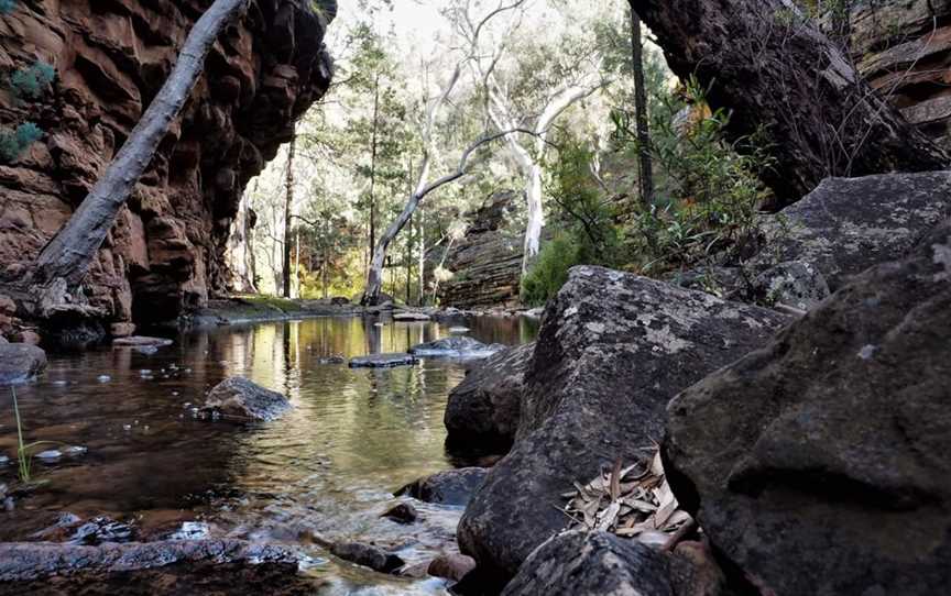 Alligator Gorge, Wilmington, SA