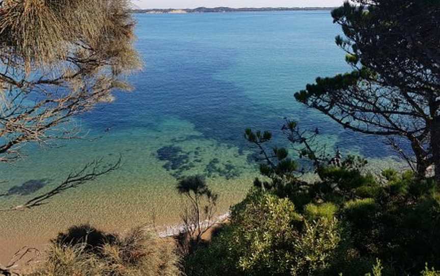 Anderson to San Remo Shared Pathway, San Remo, VIC