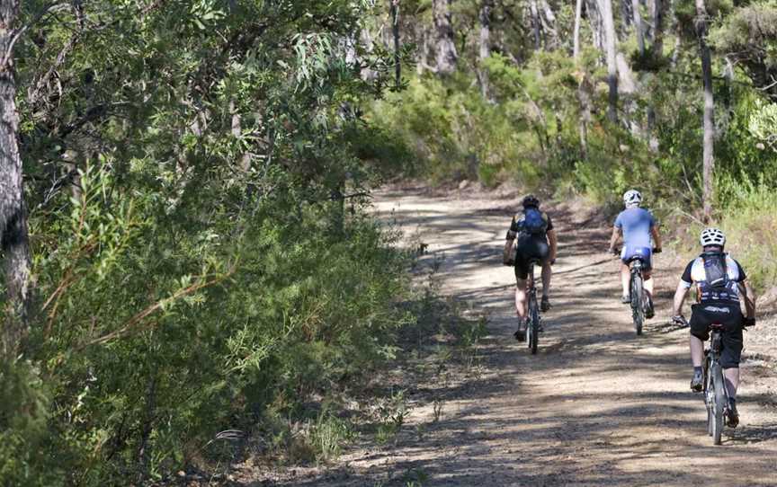 Andersons Trail, Blue Mountains National Park, NSW