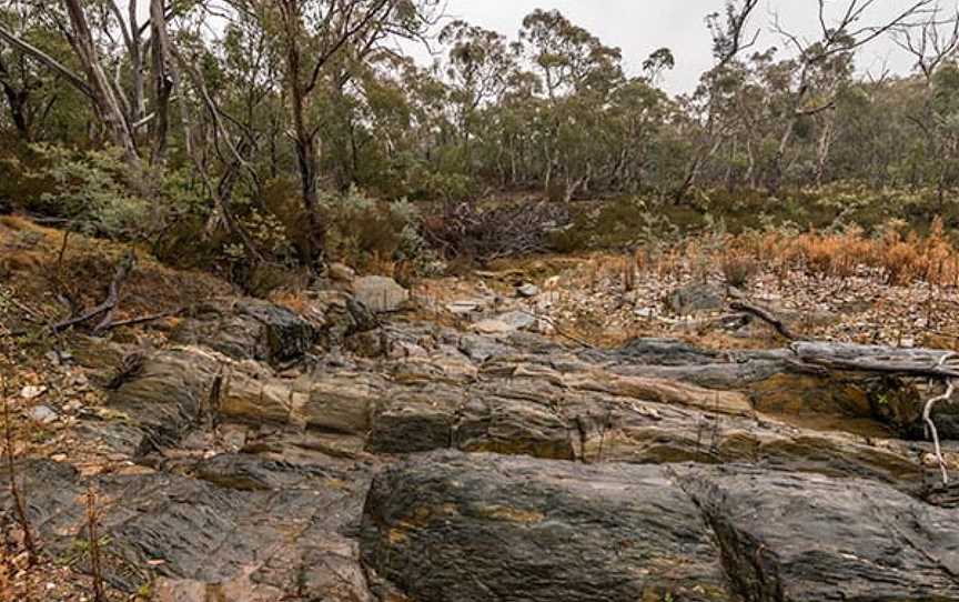 Apple Box Flat picnic area, Captains Flat, NSW