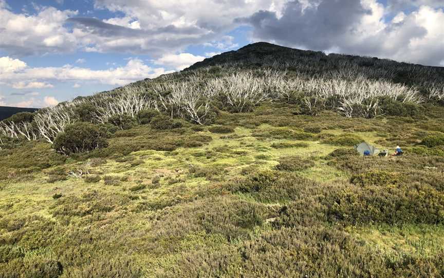 Australian Alps Walking Track, Jindabyne, NSW