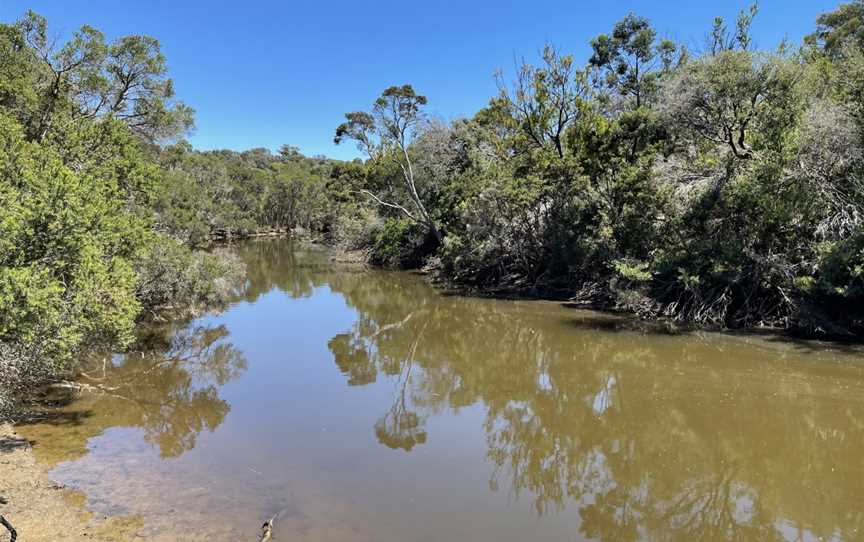 Balcombe Creek Estuary, Mount Martha, VIC