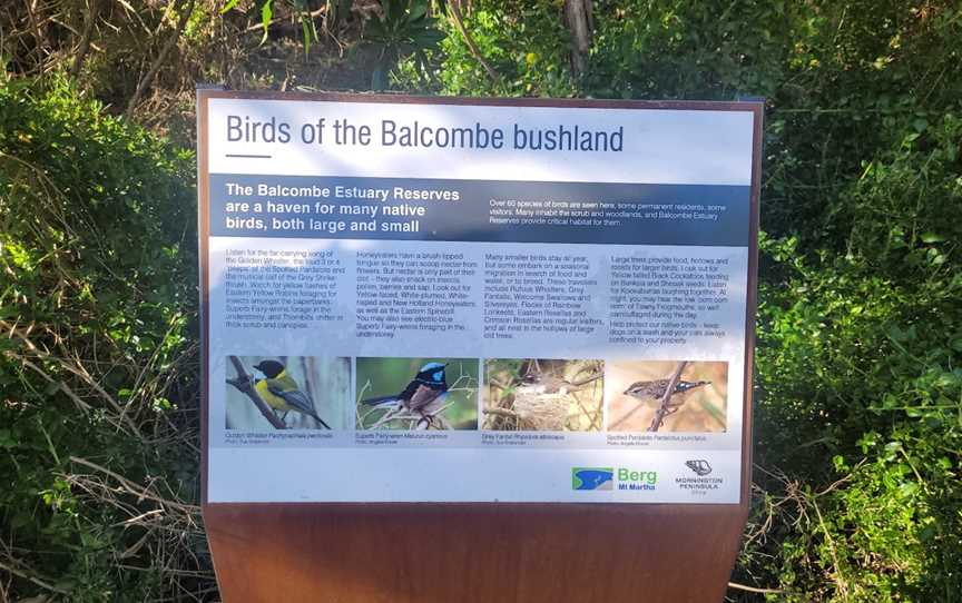 Balcombe Creek Estuary, Mount Martha, VIC