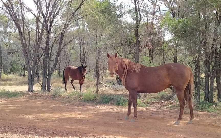 Baldy Top Lookout, Quilpie, QLD