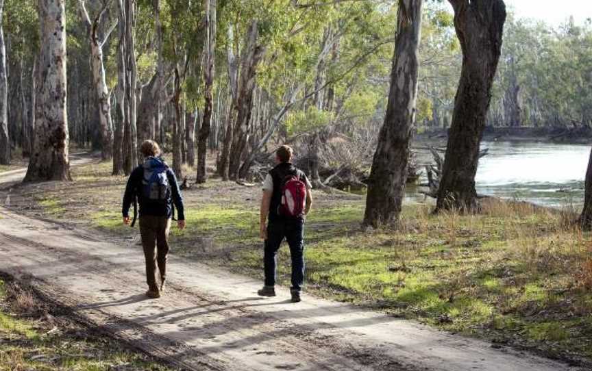 Barmah National Park, Barmah, VIC