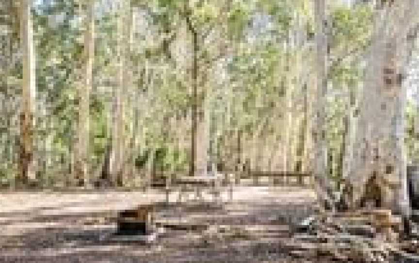 Barraba Track, Kaputar, NSW