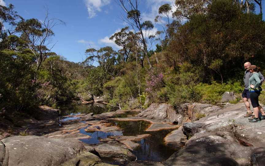 Barren Grounds Nature Reserve, Barren Grounds, NSW