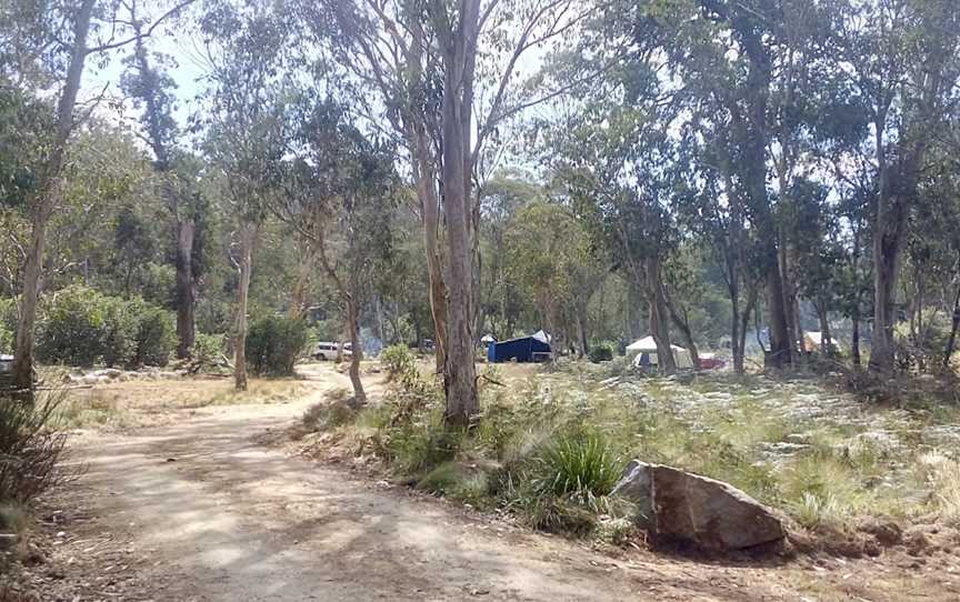 Barrington Tops State Forest, Barrington Tops, NSW