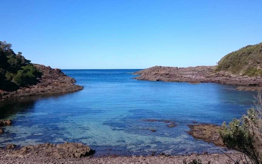 Bass Point Reserve, Shell Cove, NSW