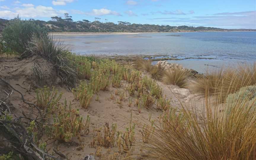 Baudin Beach, Baudin Beach, SA