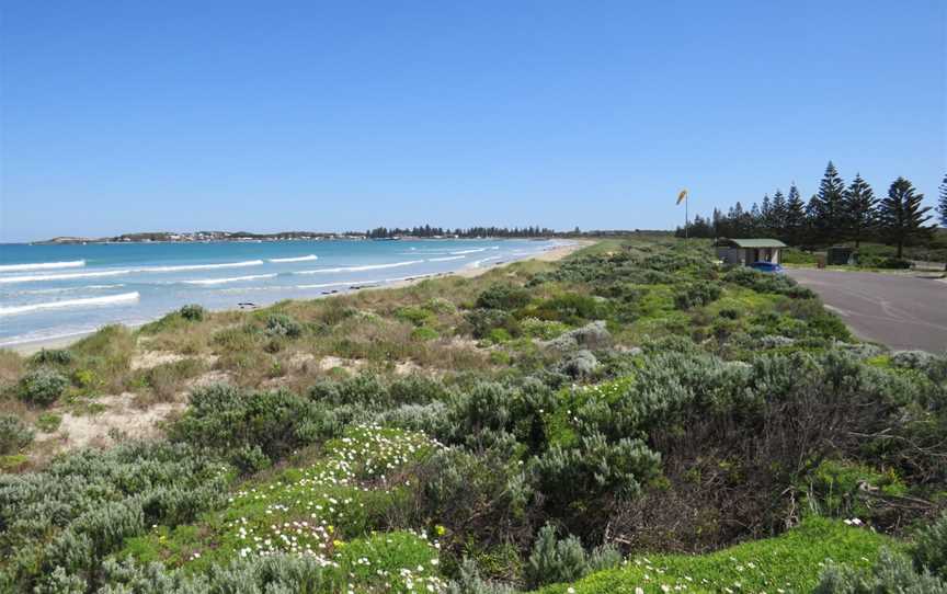 Beachport Surf Beach, Beachport, SA