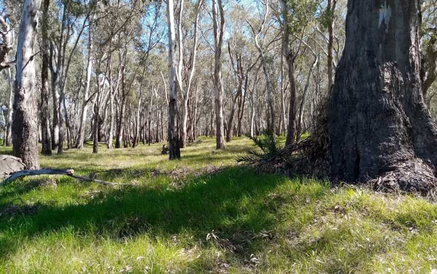 Berembed Weir, Matong, NSW