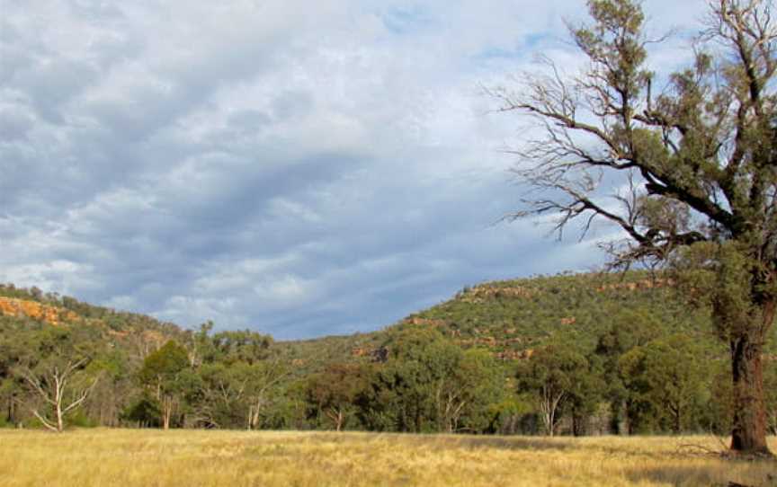 Bertha's Gully Walking Track, Piney Range, NSW