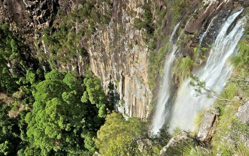 Big Scrub Loop Walking Track, Whian Whian, NSW