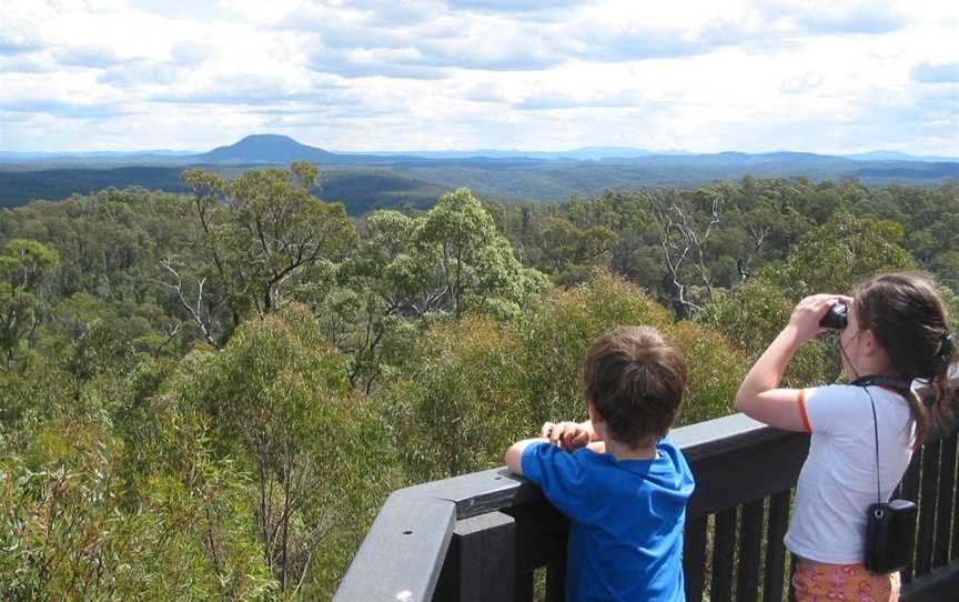 Big Yango Loop Trail, Big Yengo, NSW