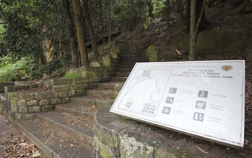 Birrawanna Walking Track, Mount Colah, NSW