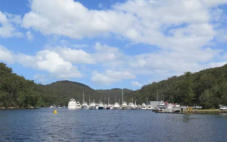 Birrawanna Walking Track, Mount Colah, NSW