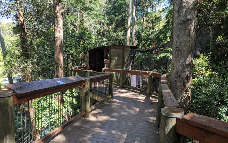 Blackbutt Reserve, Kotara, NSW