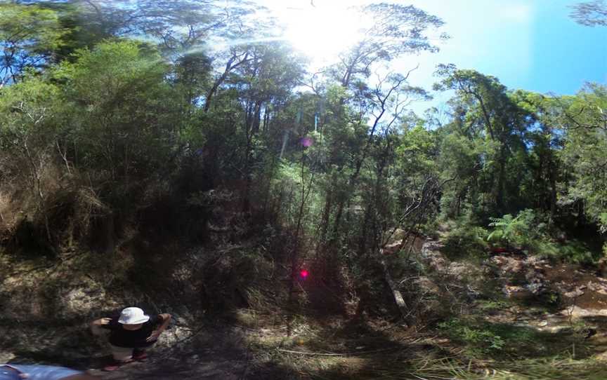 Boggy Creek Walk, Whian Whian, NSW