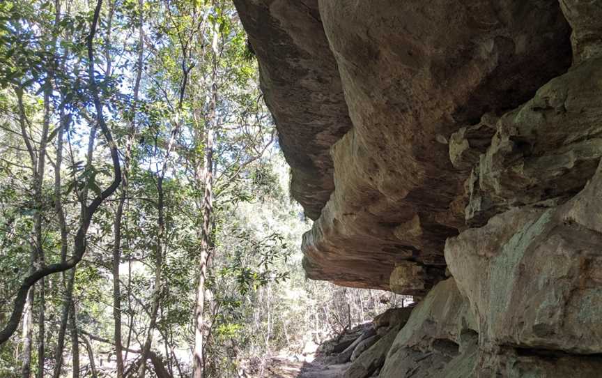 Bomaderry Creek Bushwalking Track, Bomaderry, NSW