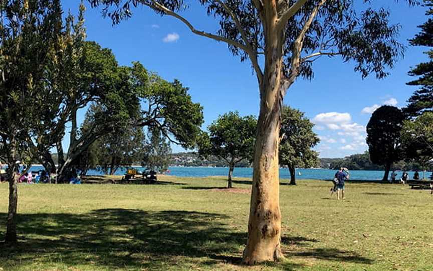 Bonnie Vale picnic area, Royal National Park, NSW