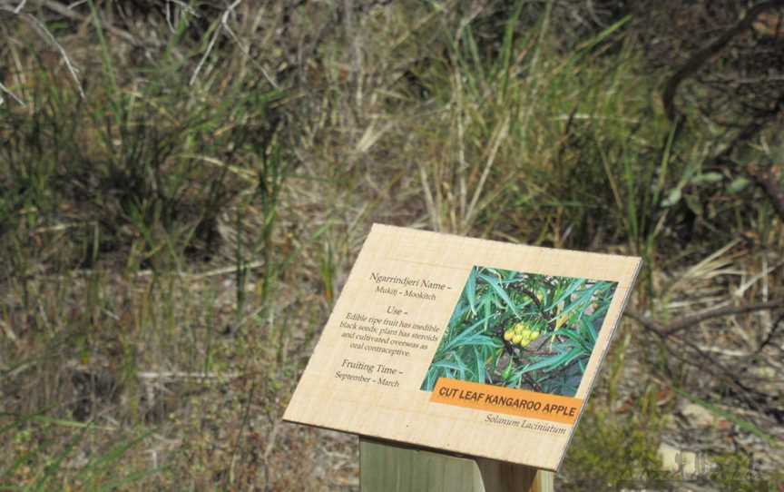 Bonney Reserve Nature Trail, Meningie, SA