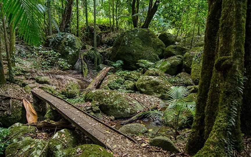 Border Loop Walk, Cougal, NSW