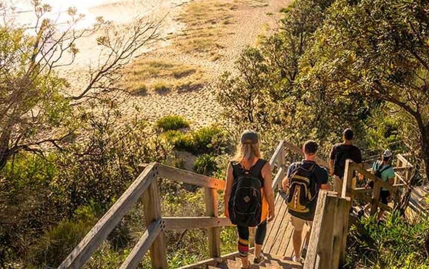 Bouddi Coastal Walk, Killcare Heights, NSW