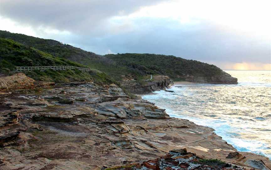 Bouddi Ridge Explorer, Bouddi, NSW