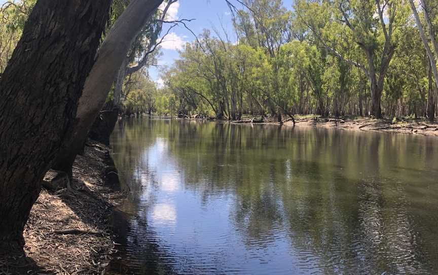 Buckingbong Reserve, Sandigo, NSW