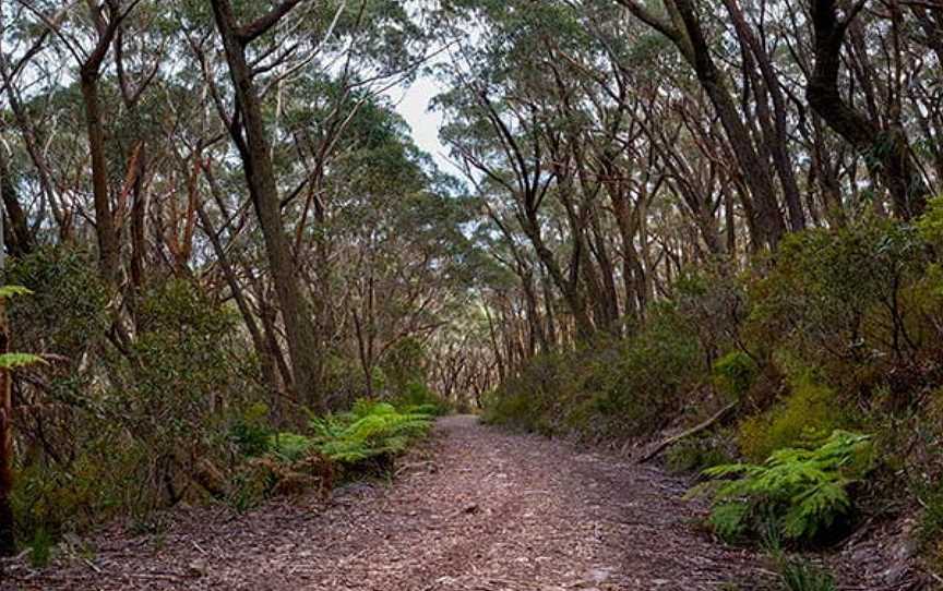 Budawang National Park, Budawang, NSW