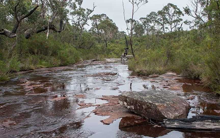 Budderoo Track, Budderoo, NSW