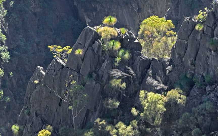 Bungonia National Park, Bungonia, NSW