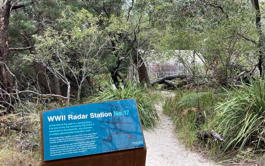 Burrewarra Point Banksia Walk, Guerilla Bay, NSW