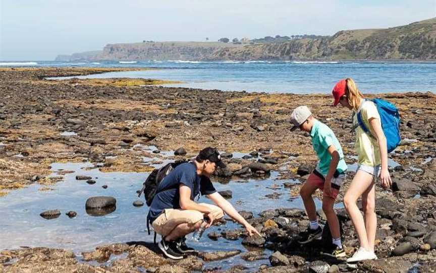 Bushrangers Bay, Cape Schanck, VIC