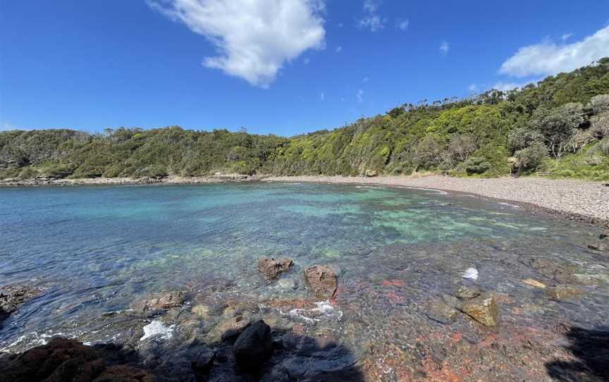 Bushrangers Bay Aquatic Reserve, Shell Cove, NSW