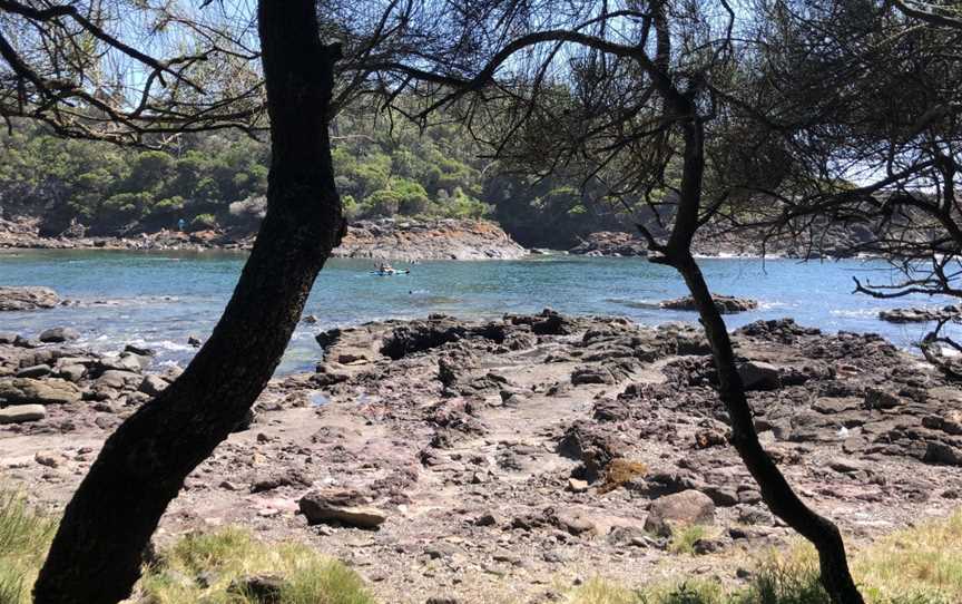 Bushrangers Bay Aquatic Reserve, Shell Cove, NSW