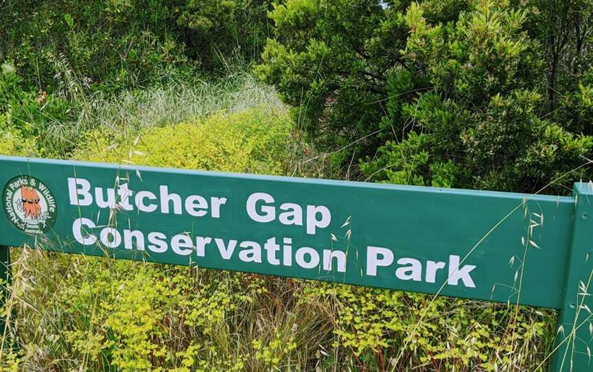 Butcher Gap Conservation Park, Sandy Grove, SA