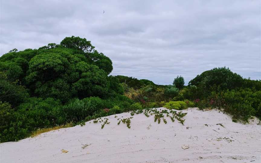 Butcher Gap Conservation Park, Sandy Grove, SA