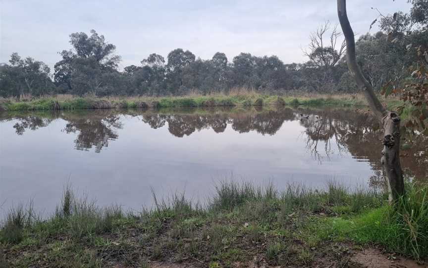 Canberra Nature Park, O'Connor, ACT