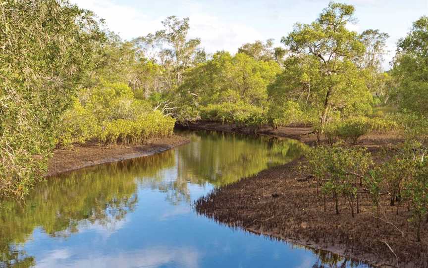 Canoe Evans River Paddle Route, Evans Head, NSW