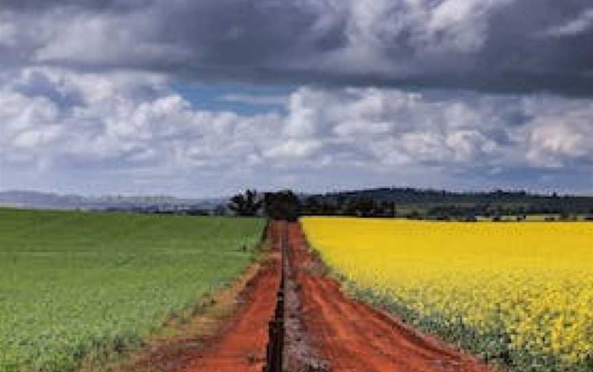 Canola Trail, Nature & Trails in Coolamon