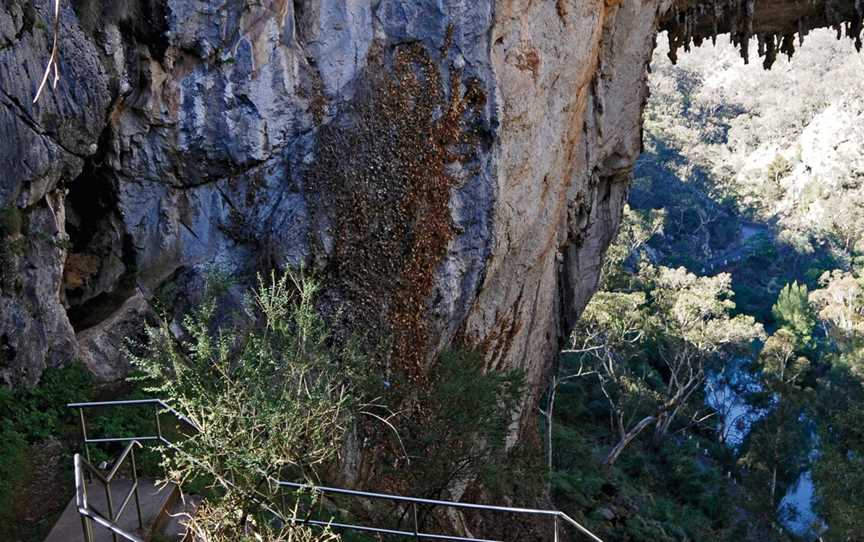 Carlotta Arch walking track, Jenolan, NSW