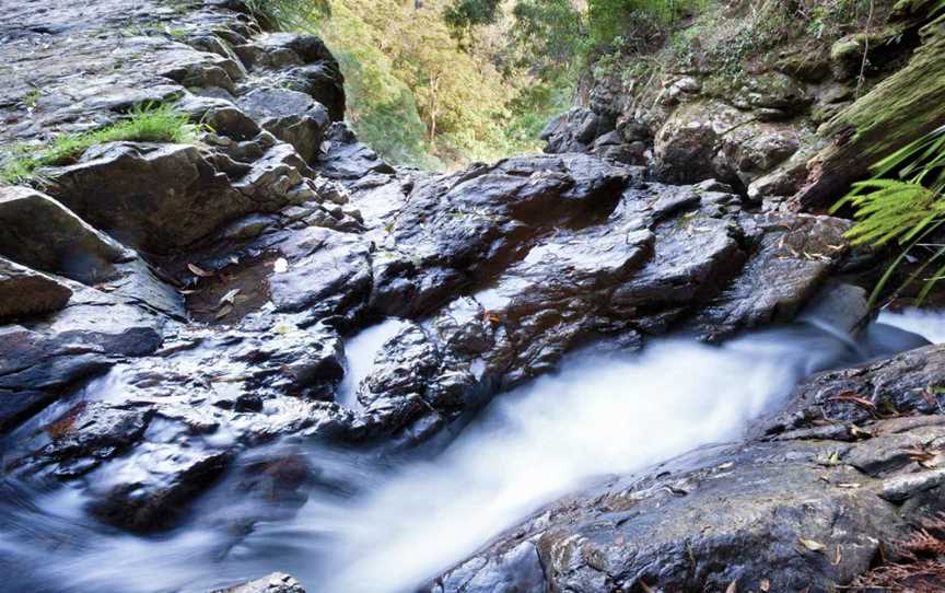 Casuarina Falls Circuit, Never Never, NSW