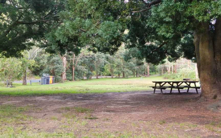 Casuarina Point picnic area, Lindfield, NSW