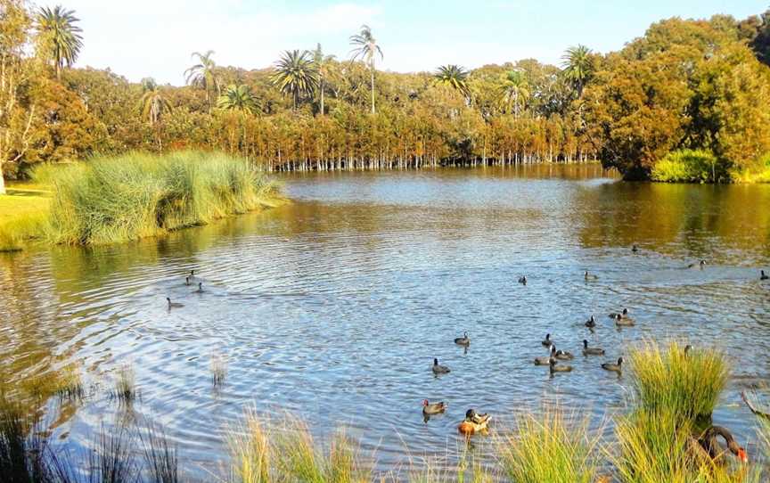 Centennial Parklands, Centennial Park, NSW